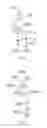 Fig. 06 - Paper stop structure, paper feed unit, and image forming apparatus