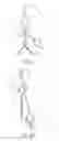 Fig. 04 - Double synthetic sling