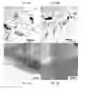 Fig. 09 - Fast production of high quality graphene by liquid phase exfoliation