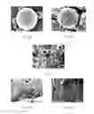 Fig. 04 - Geopolymer with nanoparticle retardant and method