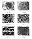 Fig. 05 - Geopolymer with nanoparticle retardant and method