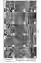 Fig. 04 - Silicon-based polymer-derived ceramic composites comprising H-BN nanosheets