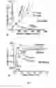 Fig. 06 - Silicon-based polymer-derived ceramic composites comprising H-BN nanosheets