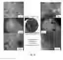 Fig. 11 - Silicon-based polymer-derived ceramic composites comprising H-BN nanosheets