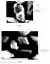 Fig. 04 - MODIFICATION OF DIAMOND FEEDS FOR IMPROVING POLYCRYSTALLINE DIAMOND CUTTER