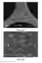 Fig. 04 - MONOLITH