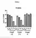 Fig. 02 - METHODS OF LOWERING PROPROTEIN CONVERTASE SUBTILISIN/KEXIN TYPE 9 (PCSK9)