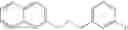 Fig. 30 - Amide compound