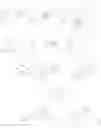 Fig. 20 - Inhibitors of CXCR2