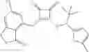 Fig. 181 - Modulators of chemokine receptors