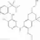 Fig. 259 - Pyrimidine-2,4-diamine derivative and anticancer pharmaceutical composition comprising same as effective ingredient