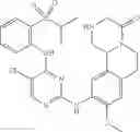 Fig. 263 - Pyrimidine-2,4-diamine derivative and anticancer pharmaceutical composition comprising same as effective ingredient