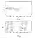 Fig. 08 - Valbenazine salts and polymorphs thereof