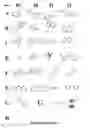 Fig. 13 - Dihydropteridinone derivatives and uses thereof