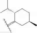 Fig. 490 - Dihydropteridinone derivatives and uses thereof