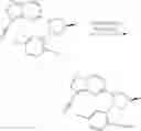 Fig. 58 - Compounds and compositions useful for treating disorders related to NTRK