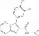 Fig. 95 - Imidazopyridazine compounds