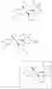 Fig. 80 - eIF4A-inhibiting compounds and methods related thereto