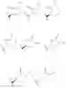 Fig. 22 - ACC inhibitors and uses thereof