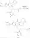 Fig. 441 - ACC inhibitors and uses thereof