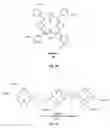 Fig. 03 - Synthesis and composition of photodynamic therapeutic agents for the targeted treatment of cancer