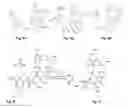 Fig. 07 - Synthesis and composition of photodynamic therapeutic agents for the targeted treatment of cancer