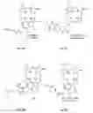 Fig. 08 - Synthesis and composition of photodynamic therapeutic agents for the targeted treatment of cancer