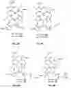 Fig. 09 - Synthesis and composition of photodynamic therapeutic agents for the targeted treatment of cancer