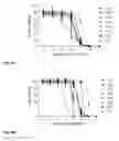 Fig. 10 - Synthesis and composition of photodynamic therapeutic agents for the targeted treatment of cancer