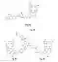 Fig. 13 - Synthesis and composition of photodynamic therapeutic agents for the targeted treatment of cancer