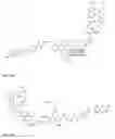 Fig. 16 - Synthesis and composition of photodynamic therapeutic agents for the targeted treatment of cancer