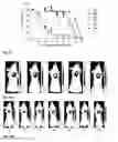 Fig. 23 - Synthesis and composition of photodynamic therapeutic agents for the targeted treatment of cancer