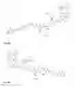 Fig. 44 - Synthesis and composition of photodynamic therapeutic agents for the targeted treatment of cancer