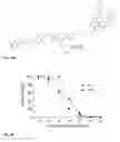 Fig. 46 - Synthesis and composition of photodynamic therapeutic agents for the targeted treatment of cancer