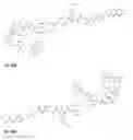 Fig. 49 - Synthesis and composition of photodynamic therapeutic agents for the targeted treatment of cancer
