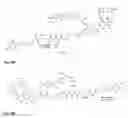 Fig. 50 - Synthesis and composition of photodynamic therapeutic agents for the targeted treatment of cancer