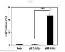 Fig. 07 - Method of selectively releasing nitric oxide depending on change in pH using calcium phosphate
