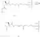 Fig. 09 - Method for the synthesis of solid heterogeneous chiral catalysts and their use in stereoselective reactions