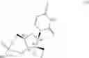 Fig. 07 - Uracyl spirooxetane nucleosides