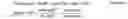 Fig. 02 - Refolding proteins using a chemically controlled redox state