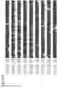 Fig. 35 - Antimicrobial peptides, pharmaceutical compositions, and methods of use thereof