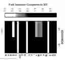 Fig. 09 - ENGINEERED BACTEROIDES OUTER MEMBRANE VESICLES