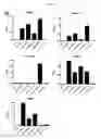 Fig. 06 - Serum half-life extension using IgBD