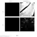 Fig. 02 - Peptide-mediated non-covalent delivery of active agents across the blood-brain barrier