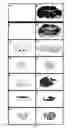 Fig. 04 - Peptide-mediated non-covalent delivery of active agents across the blood-brain barrier