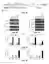 Fig. 12 - Fetal hemoglobin for genetic correction of sickle cell disease