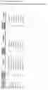 Fig. 05 - specific antibodies