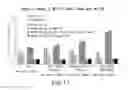 Fig. 22 - Antibody to GDF8 and uses thereof
