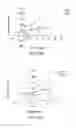 Fig. 44 - Antibody to GDF8 and uses thereof