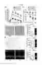 Fig. 03 - COMPOUNDS AND METHODS TO MEASURE METABOLIC FUNCTION AND RESTORE NORMAL METABOLIC FUNCTION